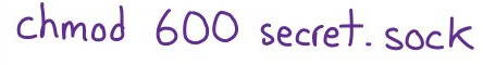 Unix domain sockets
